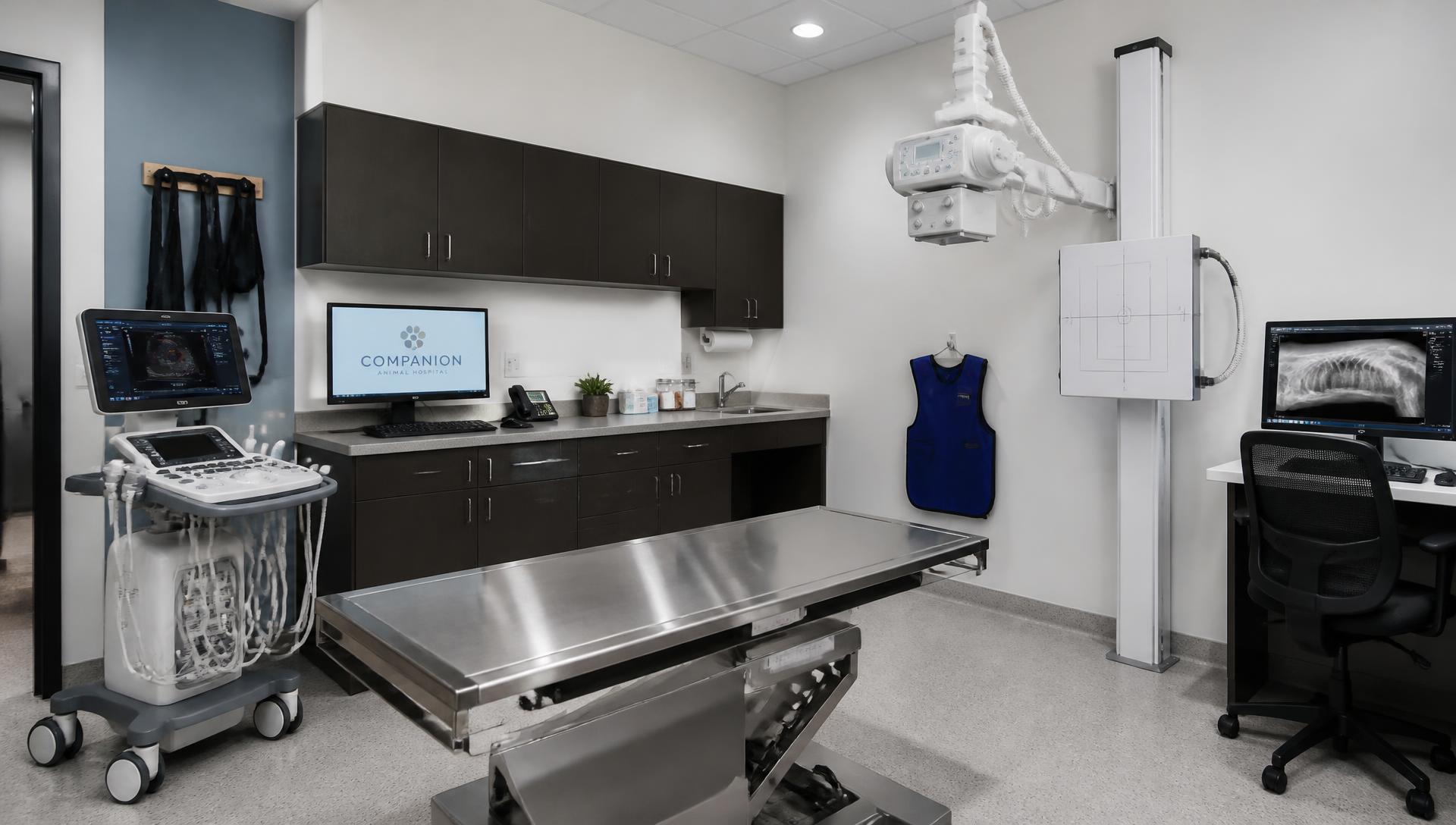 Modern veterinary clinic exam room supported by managed IT